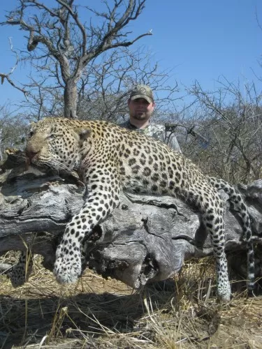 Z Leopard 6